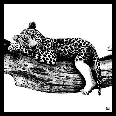 BEBE JAGUAR