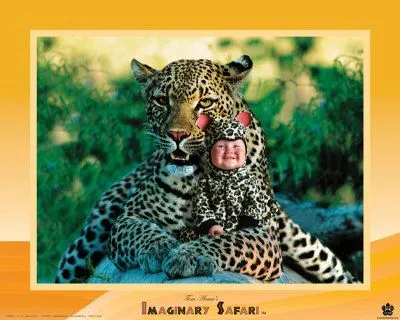 Bebè con leopardo finto Poster di Tom Arma su AllPosters.