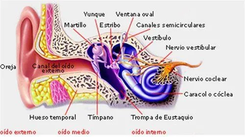 Mi bebé tiene otitis, ¿qué hago? | Web Del Bebé