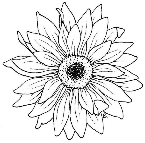 Beccy's Place: Sunflower / Gerbera | dibujos de flores | Pinterest