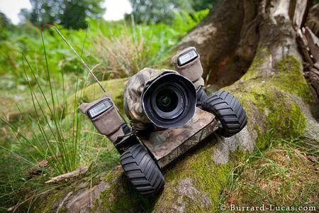 Beetlecam 2, ideal para fotografiar animales salvajes