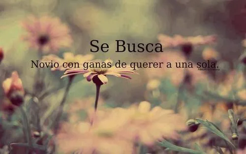 I believe in my dreams • Se busca novio con ganas de querer a una ...