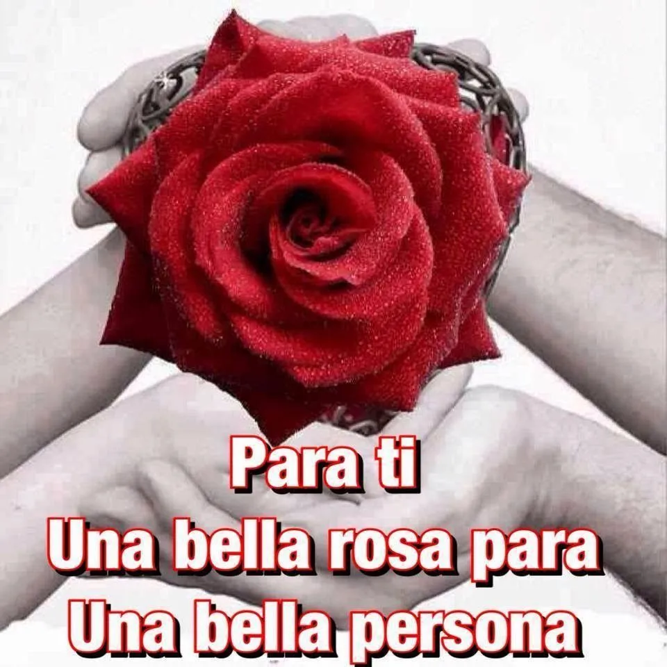 Para ti una bella rosa