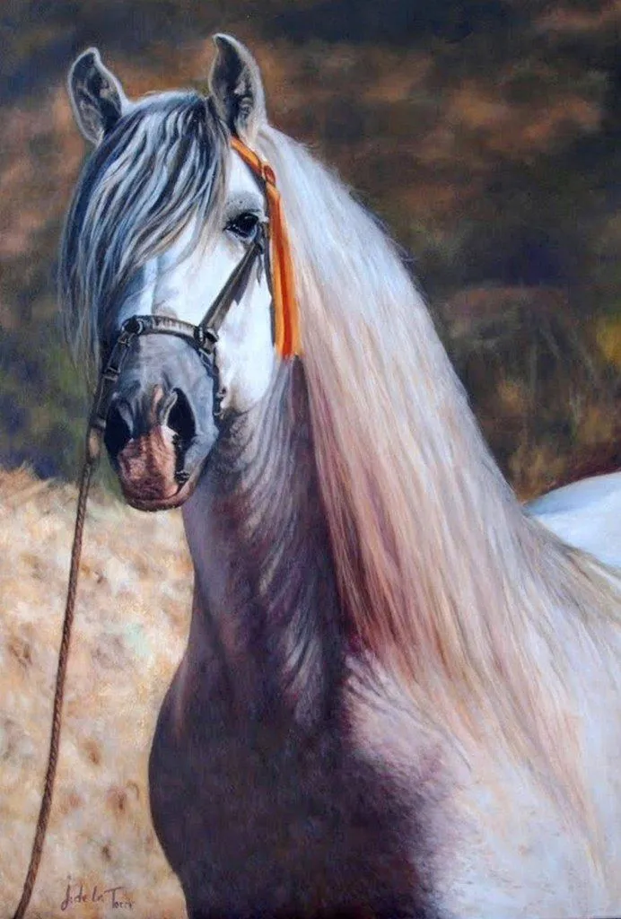 Bellas cabezas de caballos en óleo | Arte Pinturas al Óleo