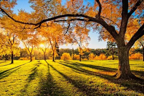 Bellas fotos del paisaje otoñal