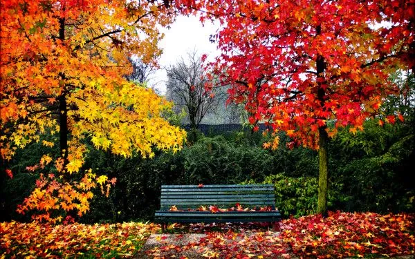 Bellas imágenes de paisajes otoñales para Fondos de Pantalla de PC ...