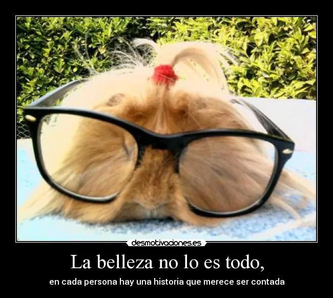 La belleza no lo es todo, | Desmotivaciones