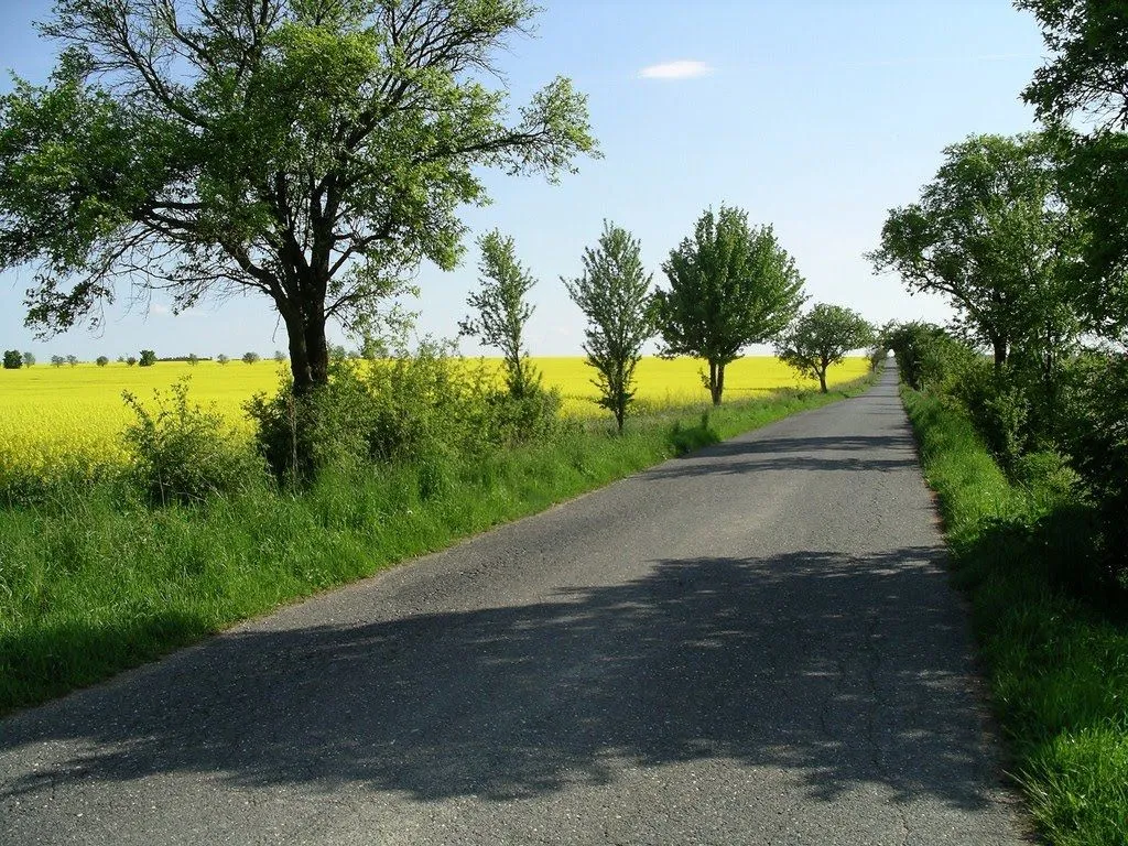 Nuestro Bello Planeta: PAISAJES VERDES