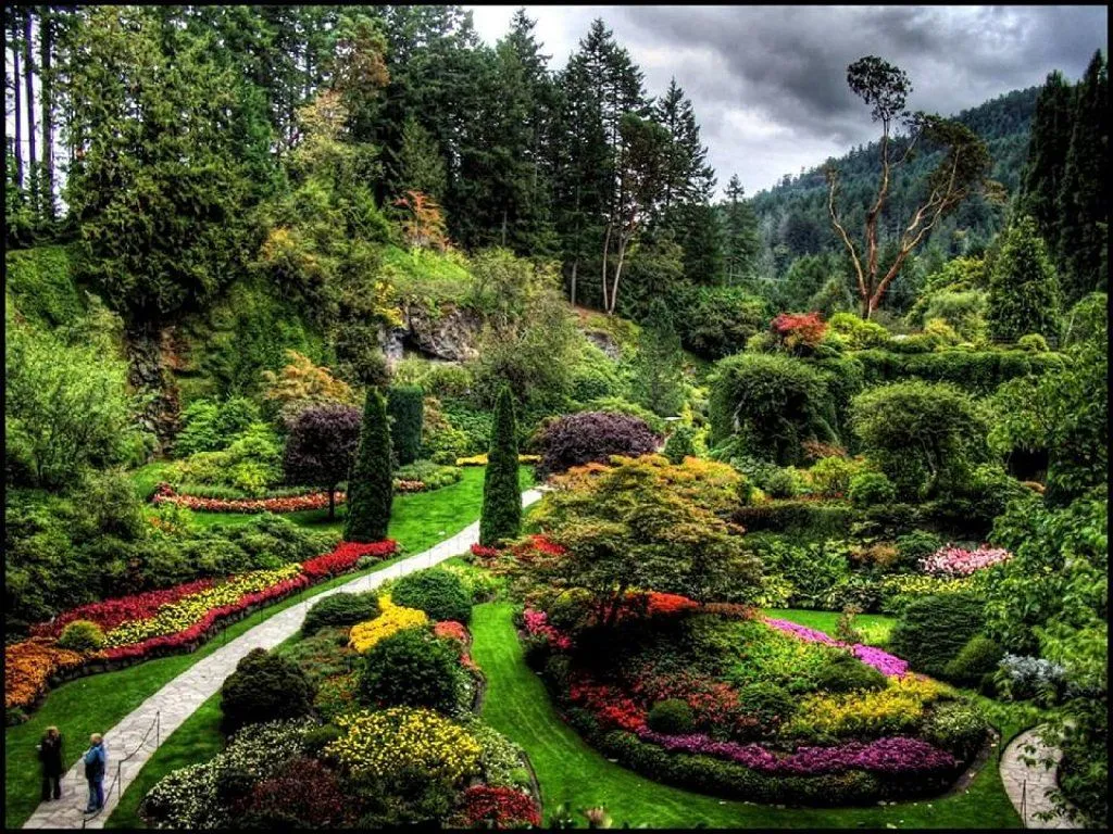 Bellos jardines | Cuidar de tus plantas es facilisimo.