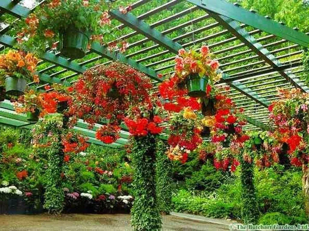 Bellos jardines | Cuidar de tus plantas es facilisimo.