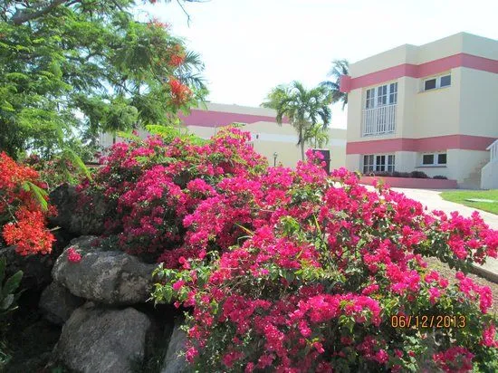 Bellos jardines: fotografía de Breezes Varadero, Varadero ...