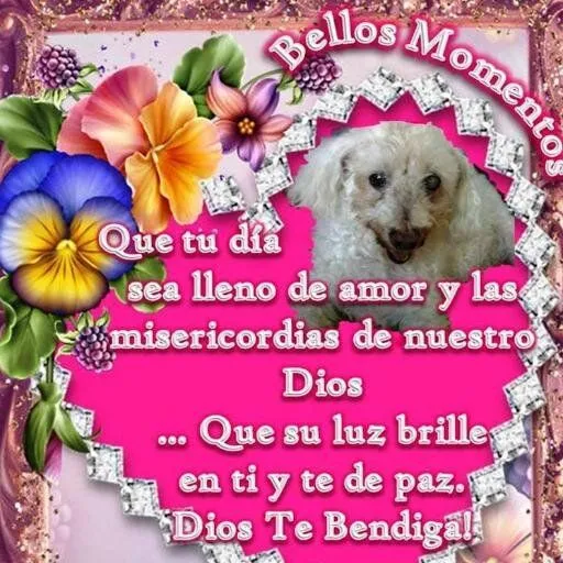 Bellos Momentos (@BellosMomentos2) | Twitter