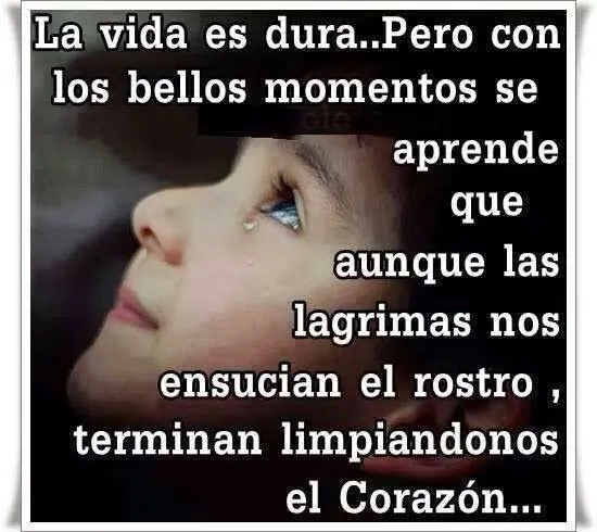 Bellos momentos | Frases
