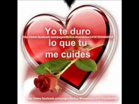 Bellos Momentos - YouTube | Facebook