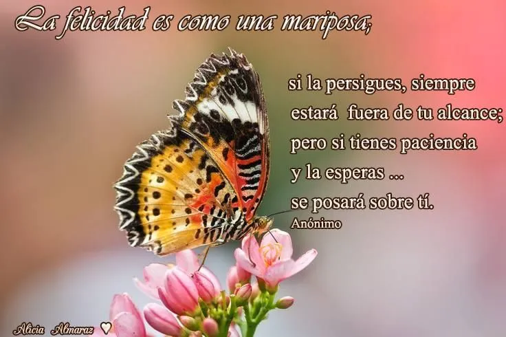 Bendiciones para ti. Stel:-) | Lo que Amo | Pinterest