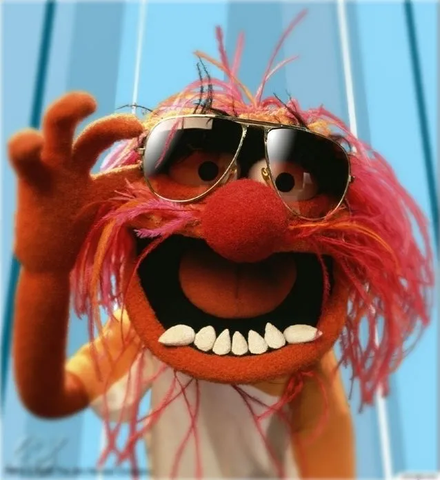 Besides Kermit, Miss Piggy or Fozzie Bear, Name a Muppet.