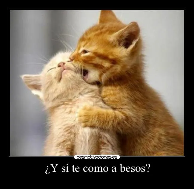 Y si te como a besos? | Desmotivaciones