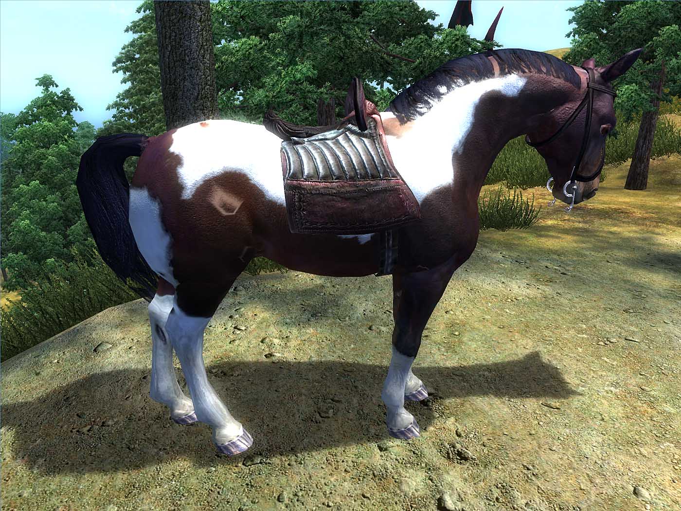 Bestiario y Fauna de Tamriel: Caballo Pinto