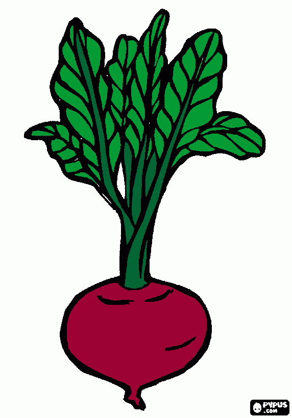 betarraga para colorear, betarraga para imprimir