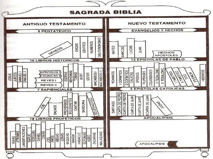 La Biblia archivos - El Profesor de Religión