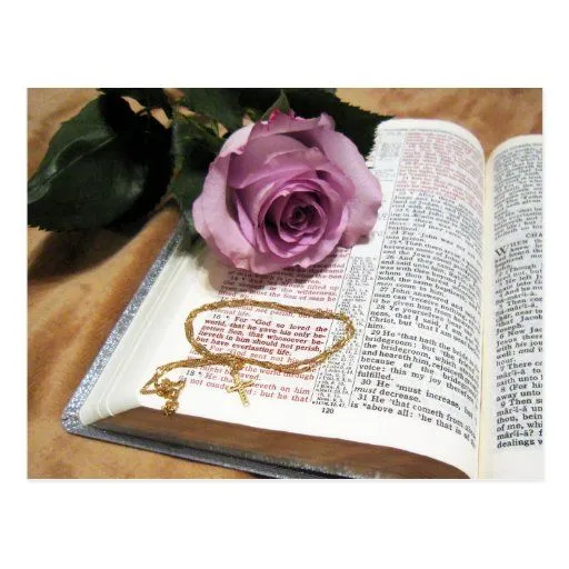 Biblia y color de rosa púrpura - 3:16 intrépido de postal | Zazzle