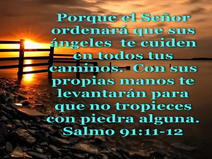 Biblia Salmo 91 | Biblia, paisajes y maravillas: Salmo 91:11-12 ...