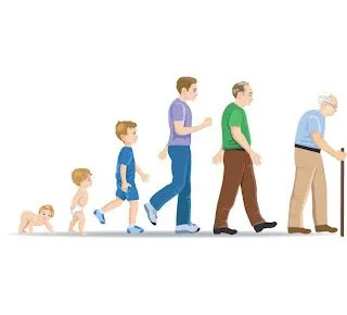 Biblioteca Dr. Juan José Osuna: Etapas de la vida y desarrollo humano