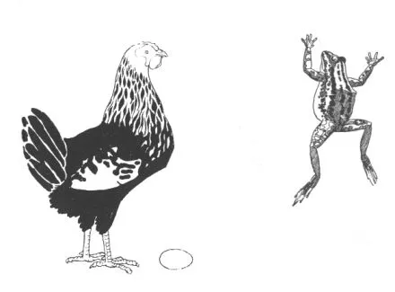 Biblioteca Virtual Miguel de Cervantes