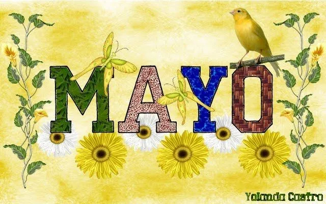 BIENVENIDO, MAYO. MES DE LAS FLORES.