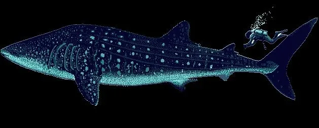 Bienvenidos al Blog de Fox Mulder: Ten cuidado donde te bañas