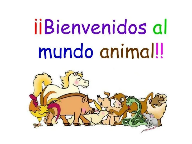 Bienvenidos al mundo animal!