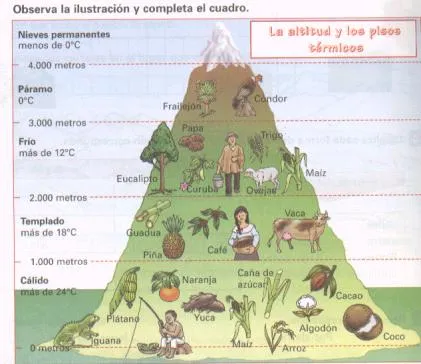 BIENVENIDOS AL MUNDO DE LAS CIENCIAS SOCIALES.: GEOGRAFÍA