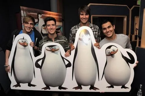 Big Time Rush con los pingüinos de Madagascar