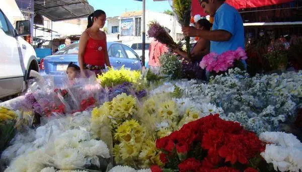 Nuestro Bio Bío.cl Tierra de Encuentros: febrero 2012