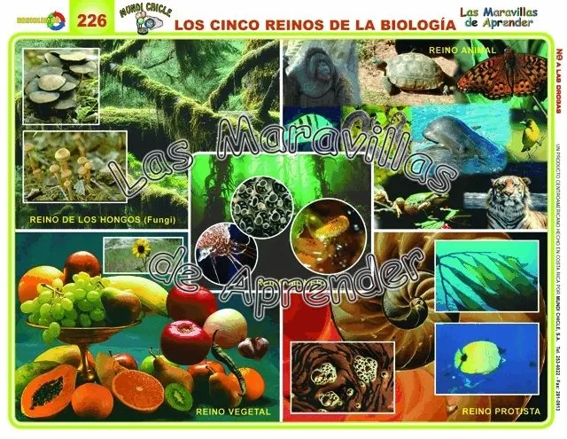 BIOAULA: Reinos De La Naturaleza