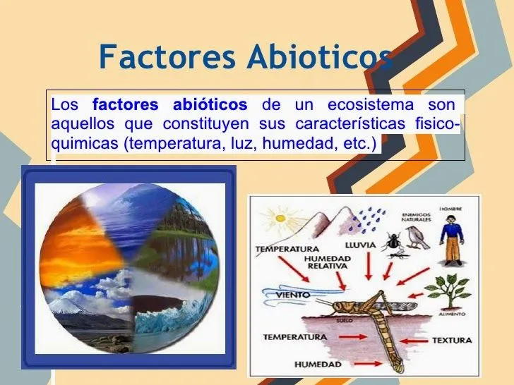 BIO.BLOG.: ECOSISTEMA ACTIVO TERRESTRE.