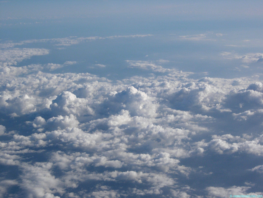 Biociencias17: Las nubes se están cayendo