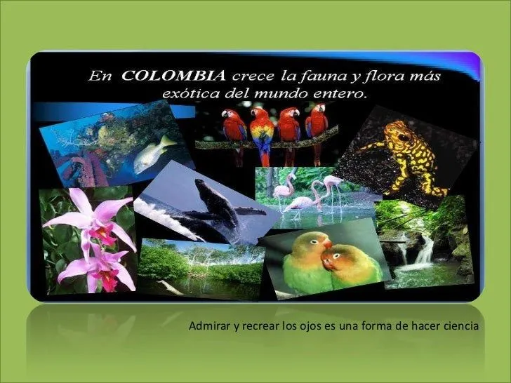 Biodiversidad de Flora y Fauna de Colombia