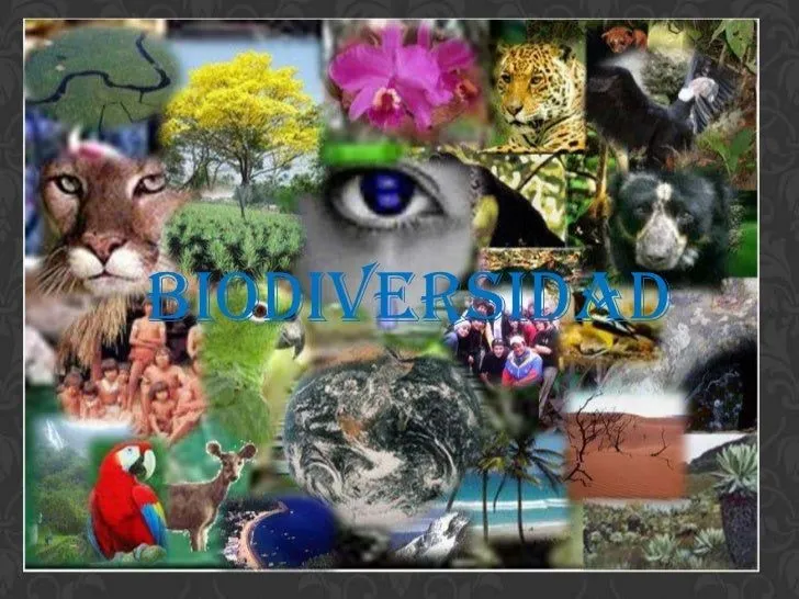 Biodiversidad foro de_reconocimiento