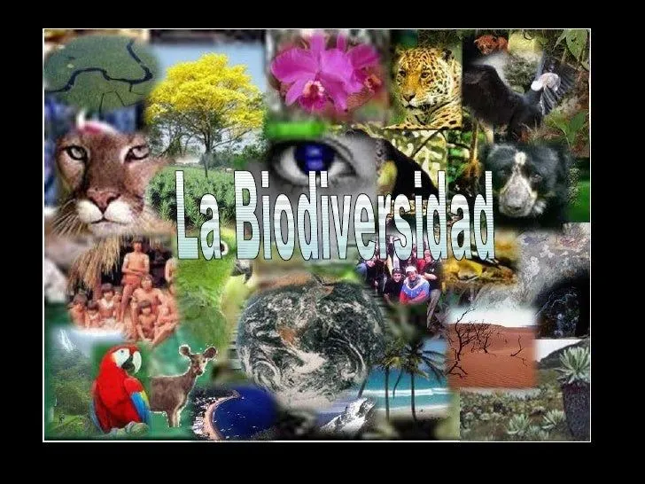 Biodiversidad joan y javier