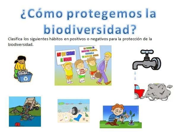 LA BIODIVERSIDAD: mayo 2013