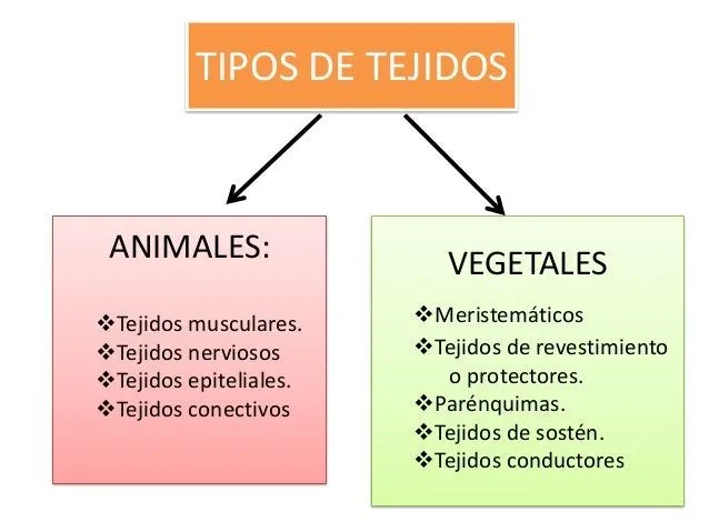 biologa-acceso-universidad-25- ...