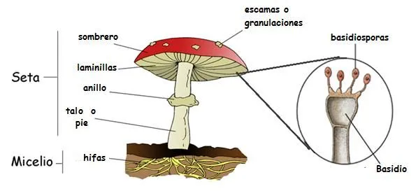 Biología 1ero secundaria: abril 2013