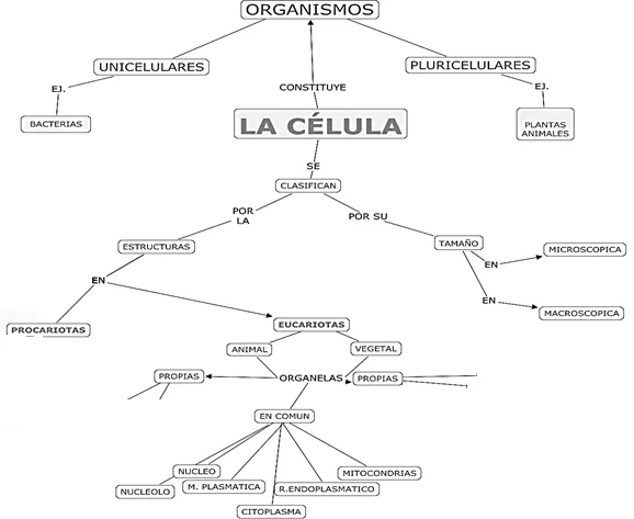 La biología a tu alcance: agosto 2011