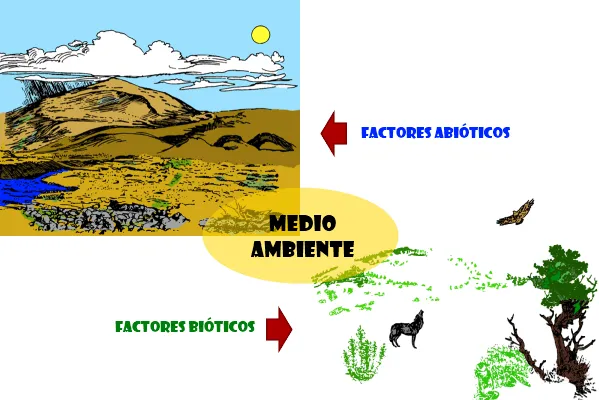 Biología y Geología 2º ESO: El medio ambiente natural y sus ...