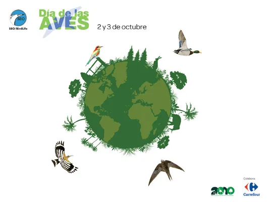 Biología y Geología. Bachillerato.: DÍA DE LAS AVES