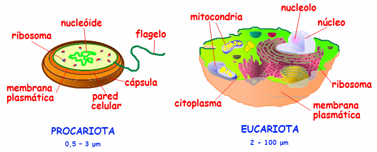 El Cedazo - Comparte conocimiento - Parte 4