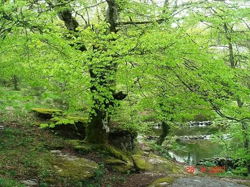 BIOMBO HISTÓRICO: FOTOS DE PAISAJES NATURALES PARA REPASAR