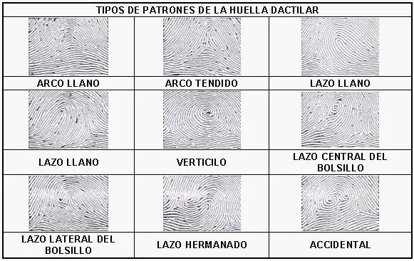 Biometrics-Techniques: Características huellas dactilares