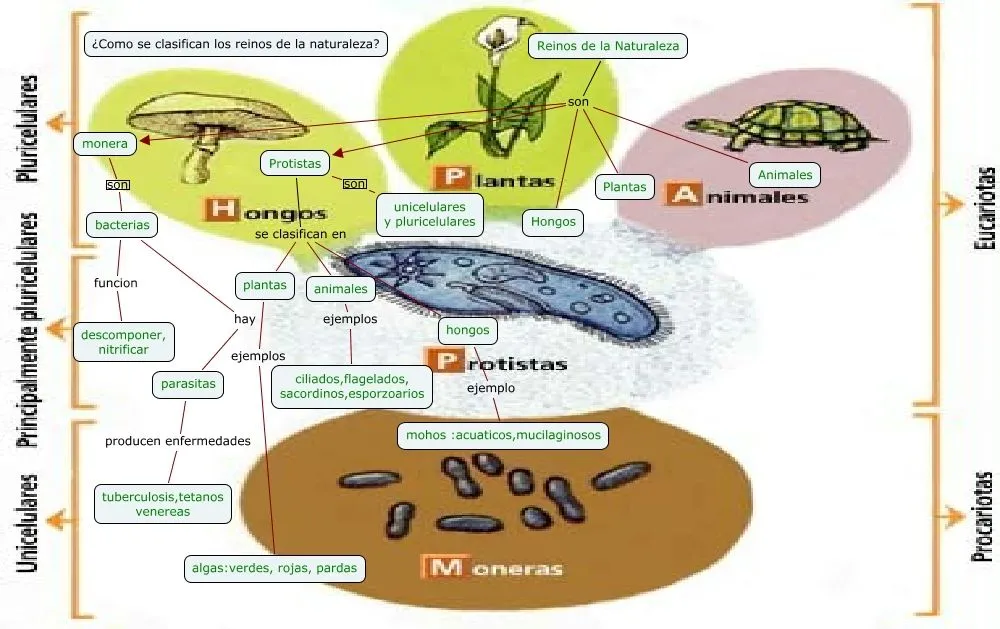 BioQuimica